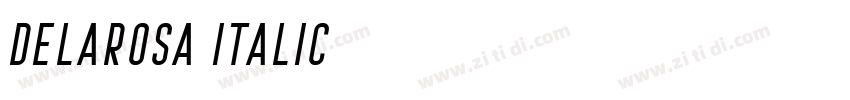 Delarosa Italic字体转换